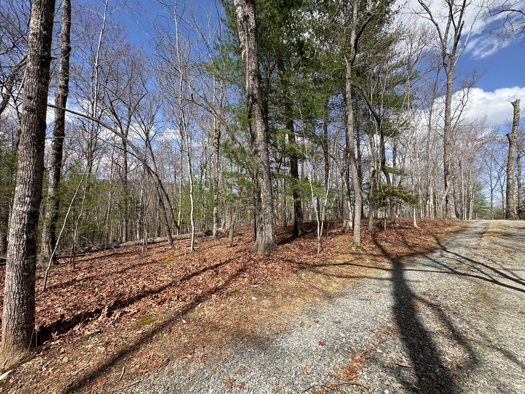 Lot 19 Black Oak Road