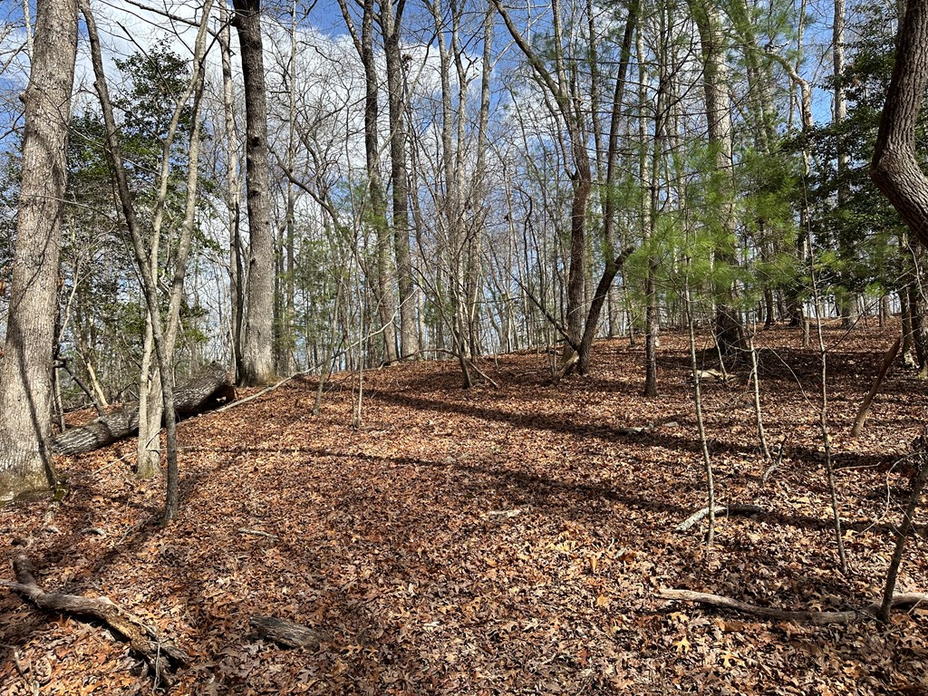 Lot 19 Black Oak Road