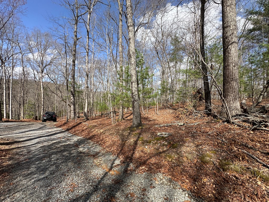 Lot 19 Black Oak Road