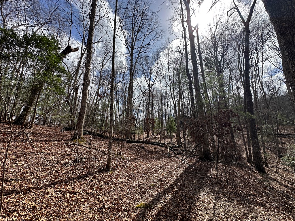 Lot 19 Black Oak Road