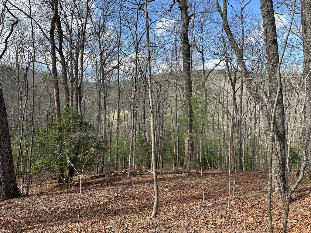Lot 19 Black Oak Road