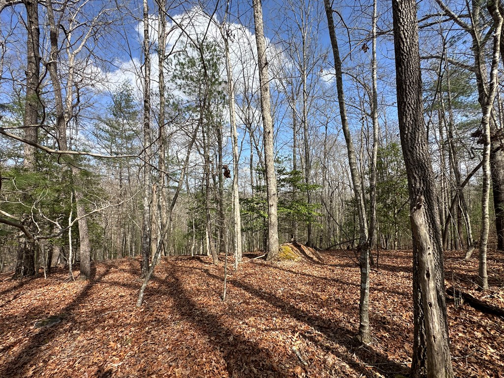 Lot 19 Black Oak Road