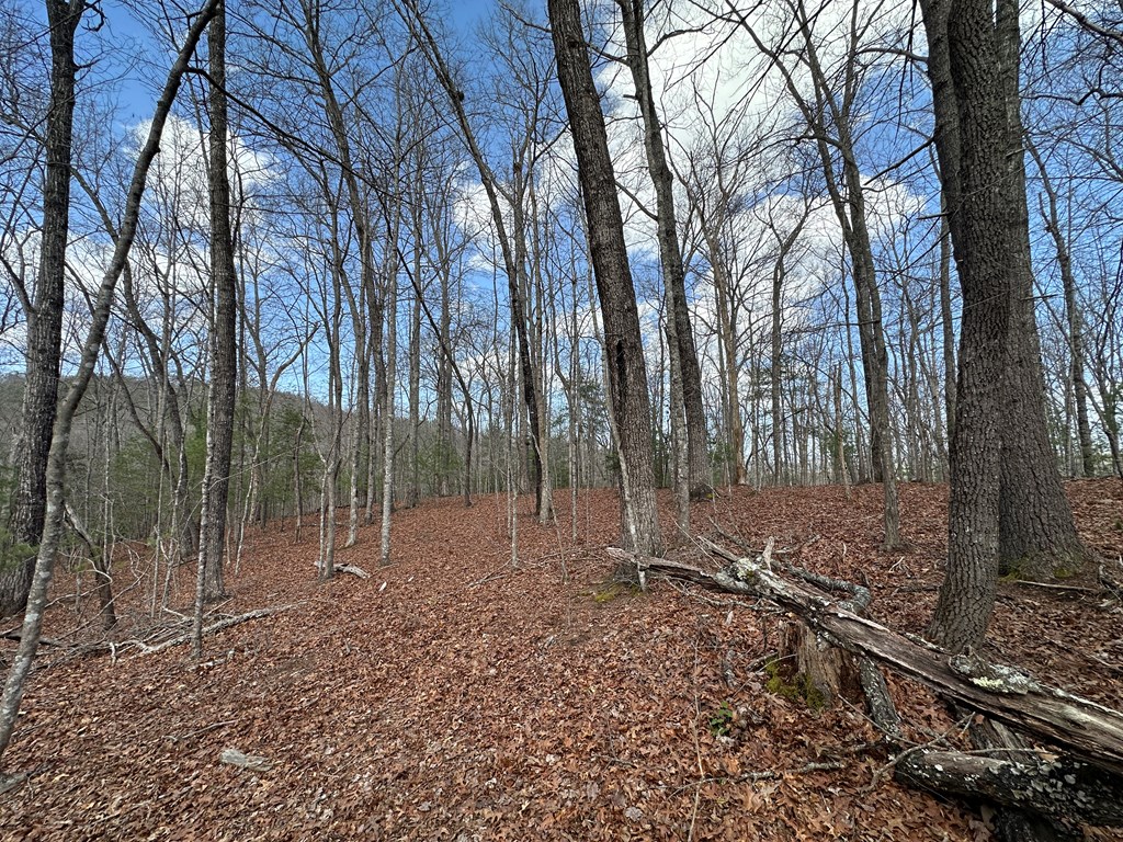 Lot 19 Black Oak Road