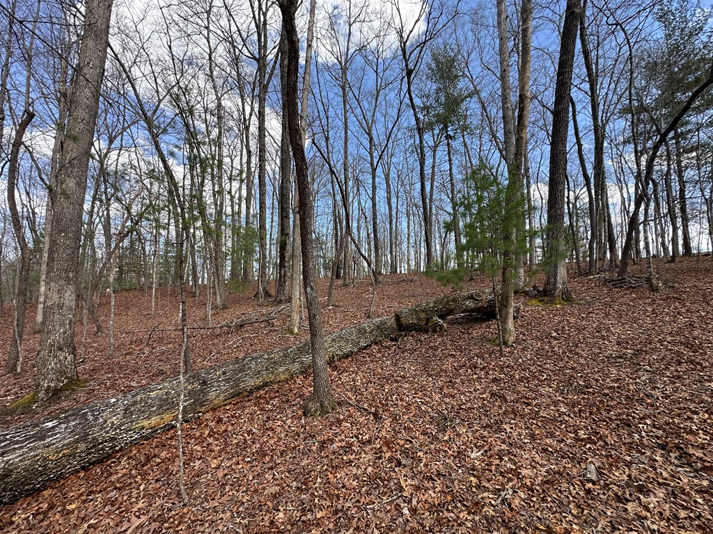 Lot 19 Black Oak Road