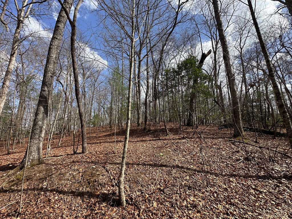 Lot 19 Black Oak Road