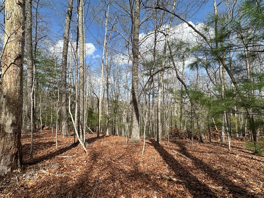 Lot 19 Black Oak Road