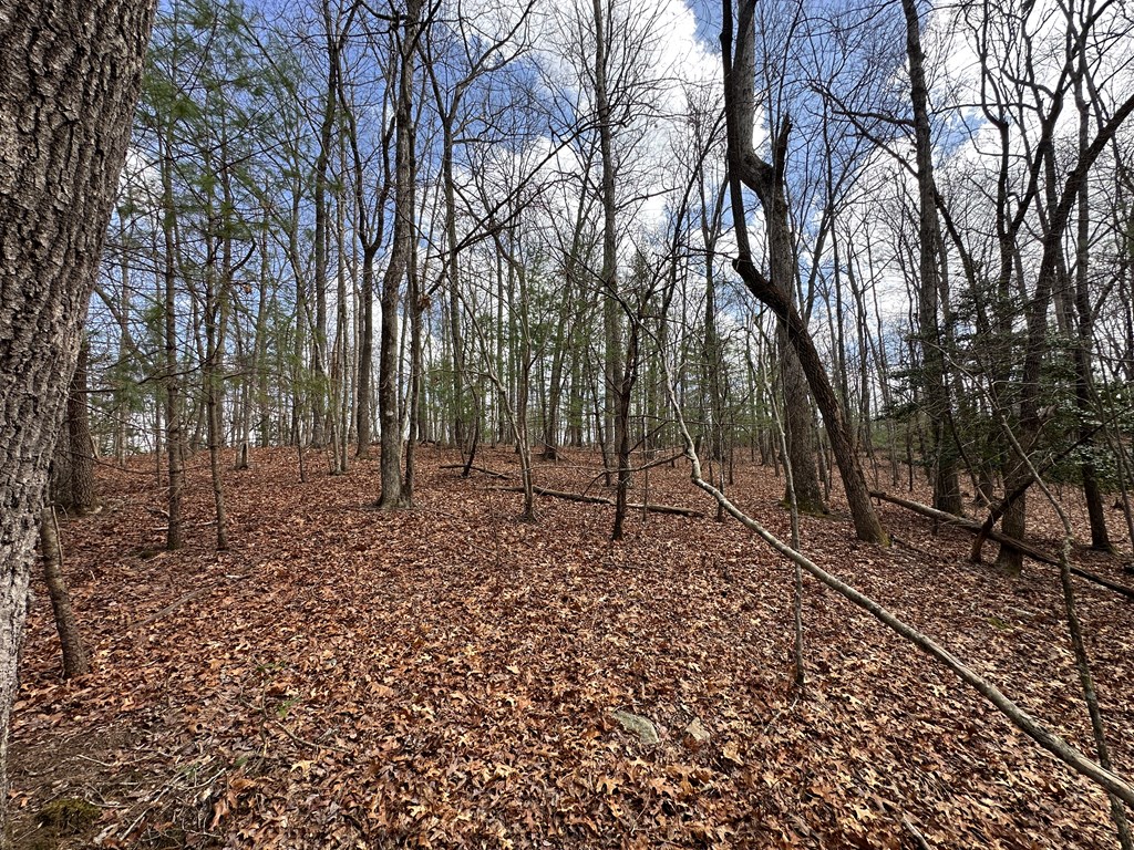 Lot 20 Black Oak Road