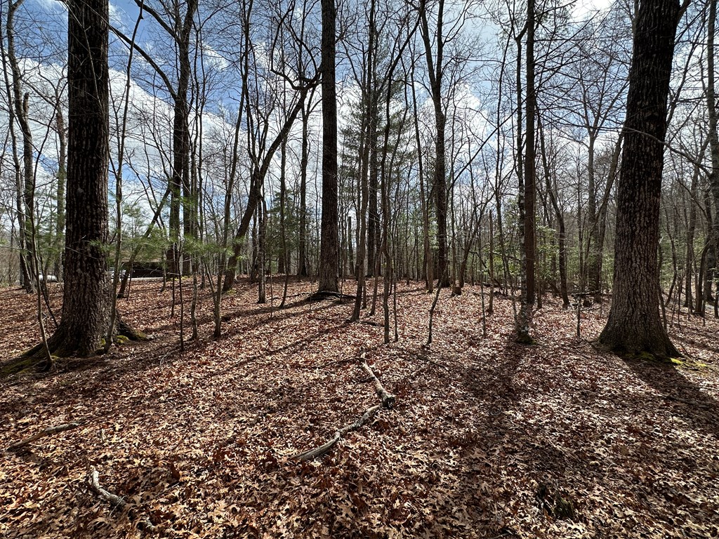 Lot 20 Black Oak Road