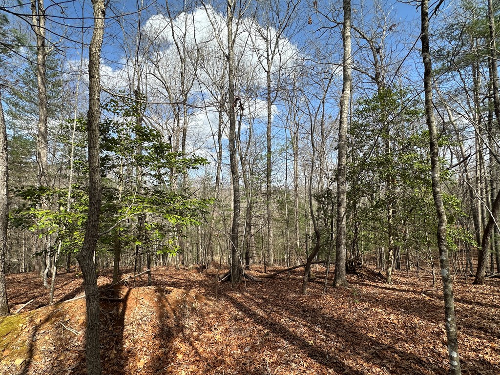 Lot 20 Black Oak Road