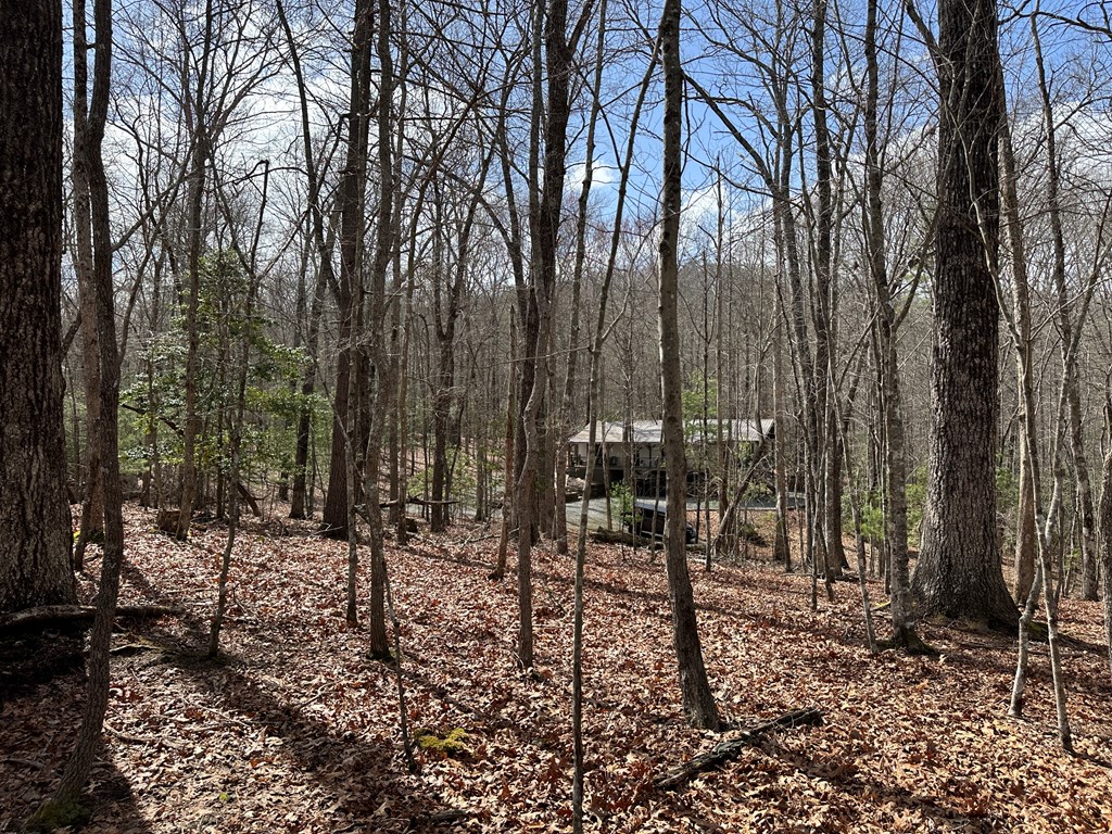 Lot 20 Black Oak Road