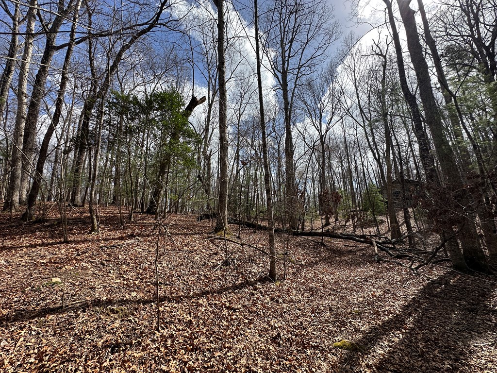 Lot 20 Black Oak Road