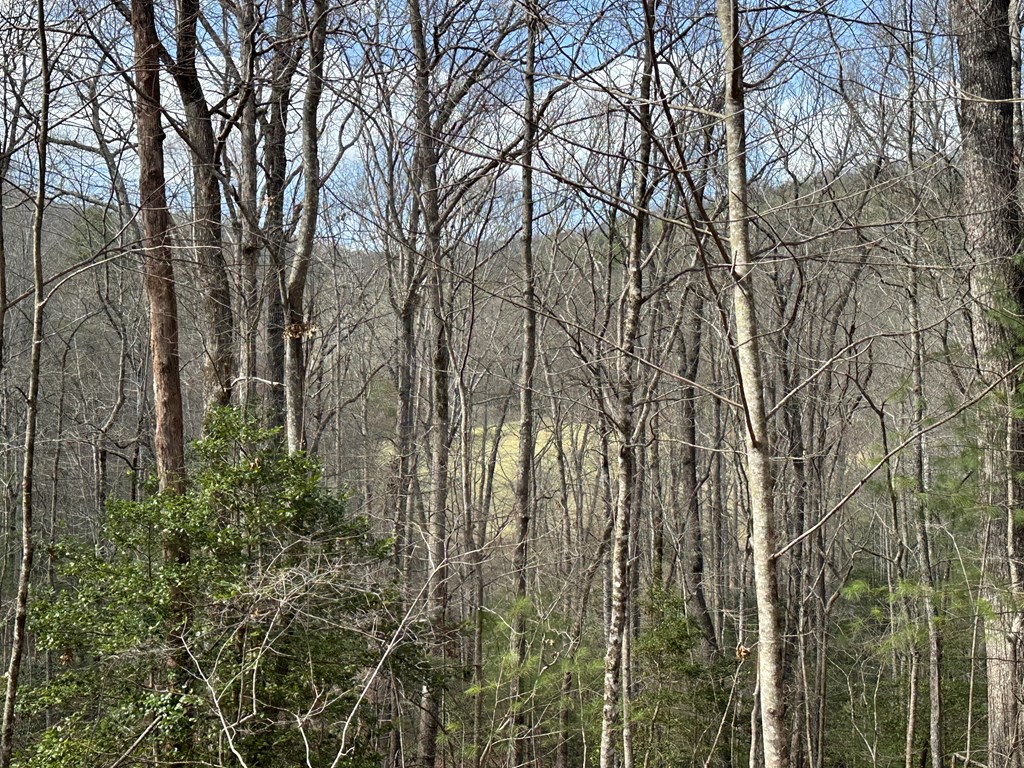 Lot 20 Black Oak Road
