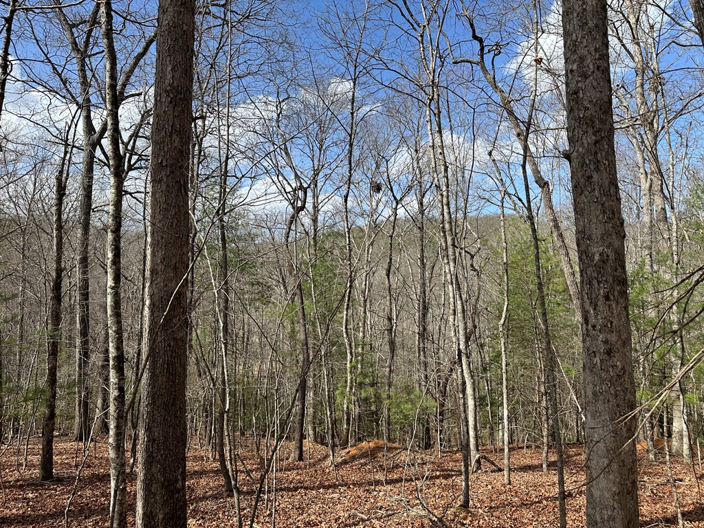 Lot 20 Black Oak Road