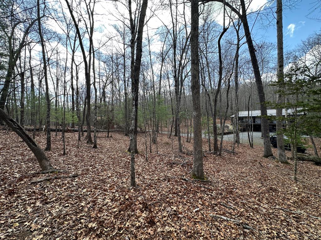 Lot 20 Black Oak Road