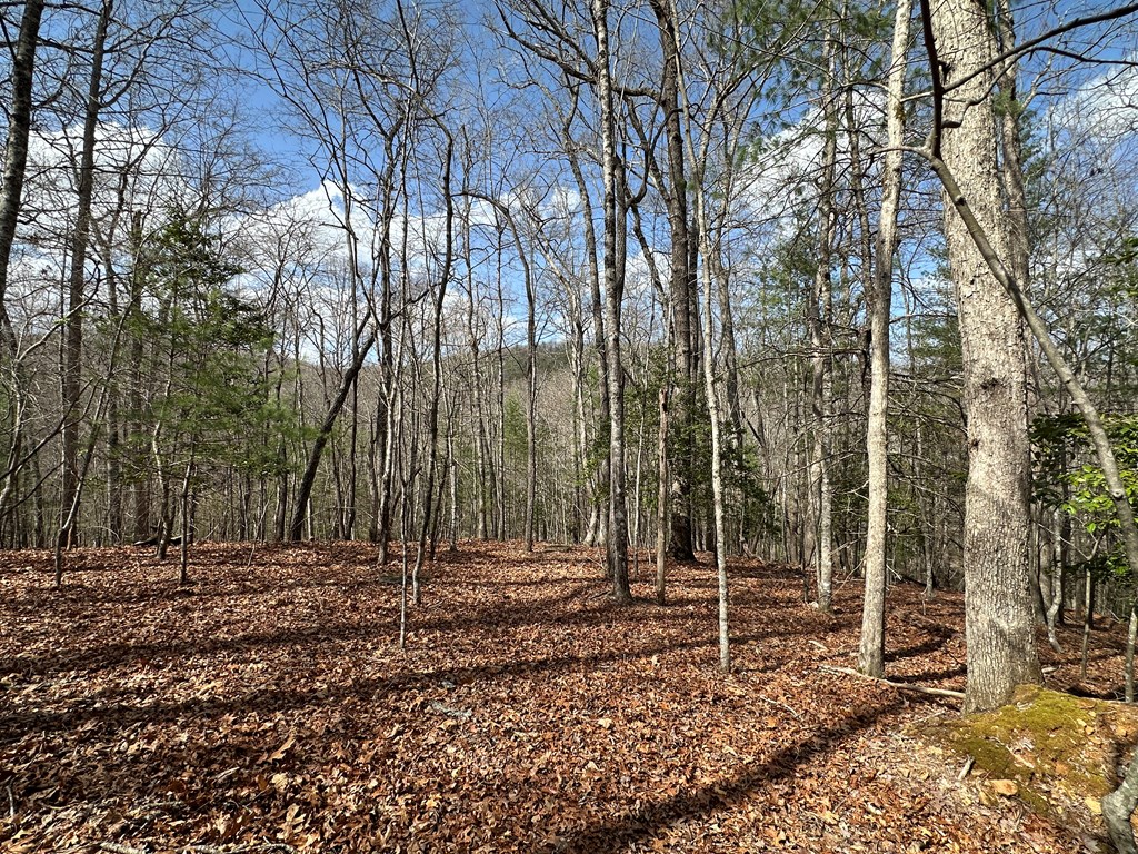 Lot 20 Black Oak Road