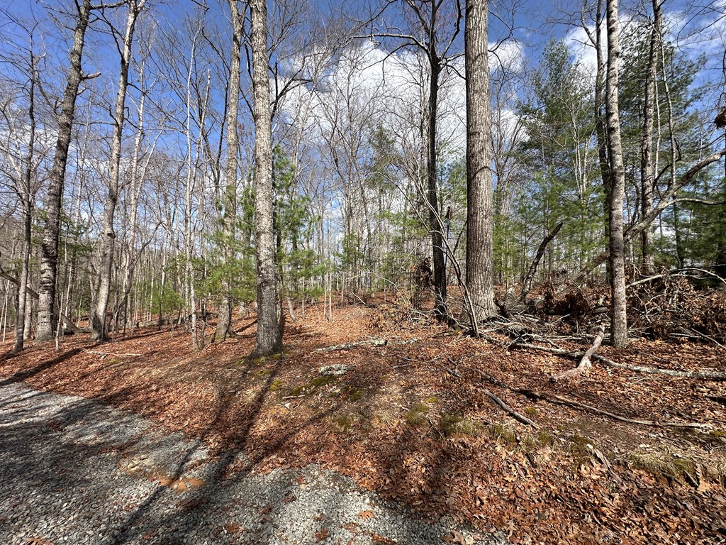 Lot 20 Black Oak Road