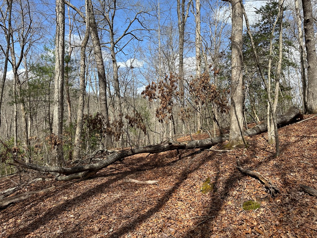 Lot 20 Black Oak Road