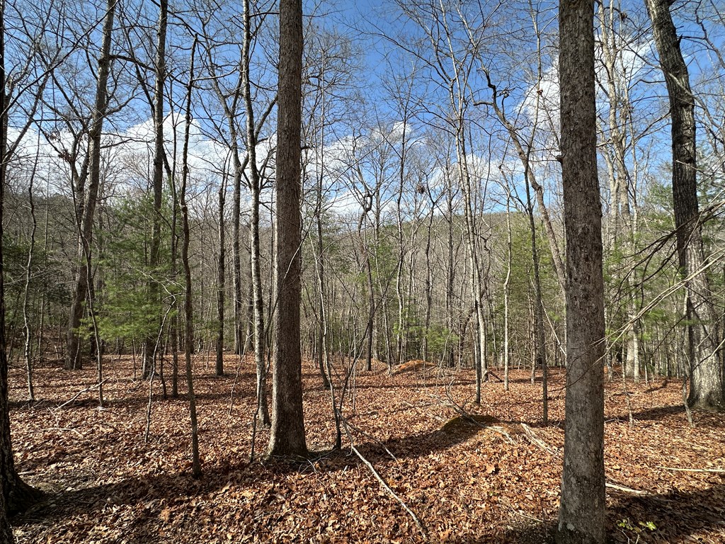 Lot 20 Black Oak Road