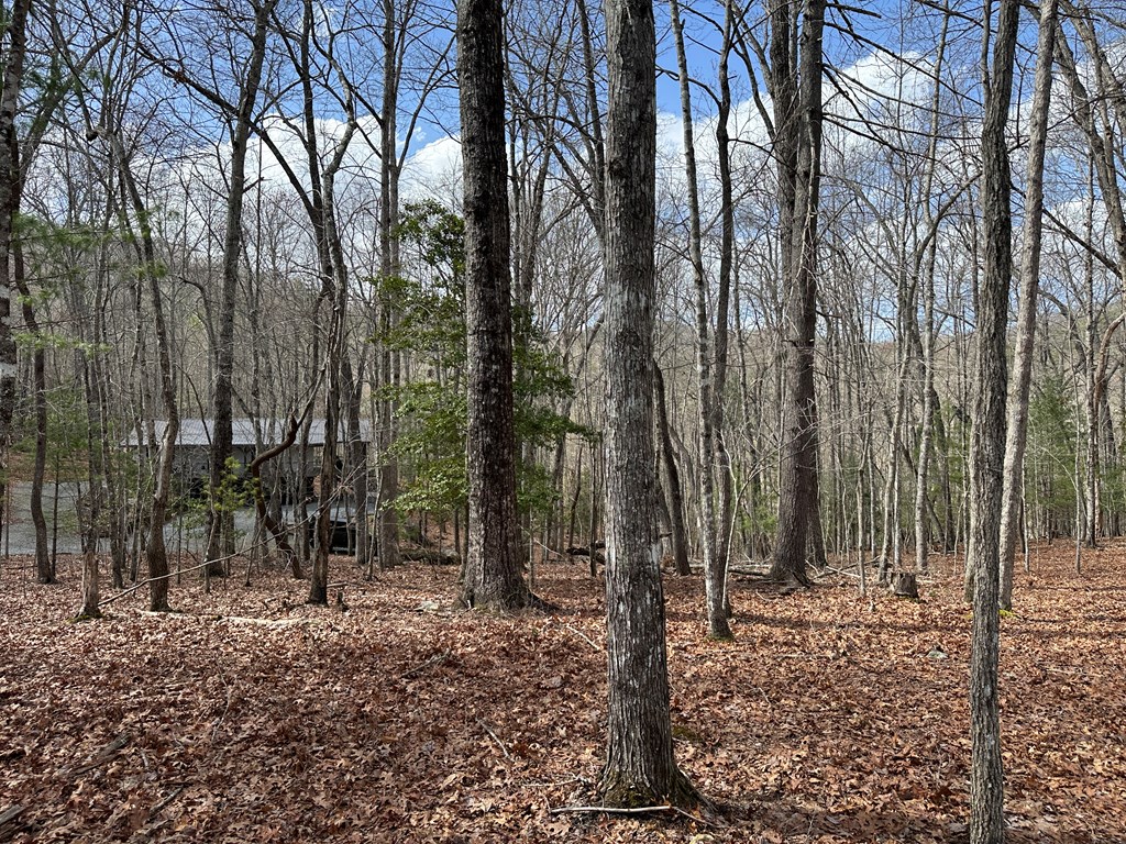 Lot 20 Black Oak Road