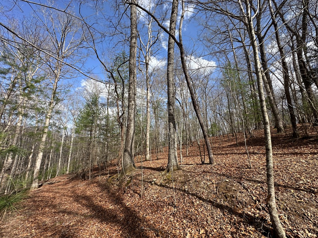 Lot 20 Black Oak Road