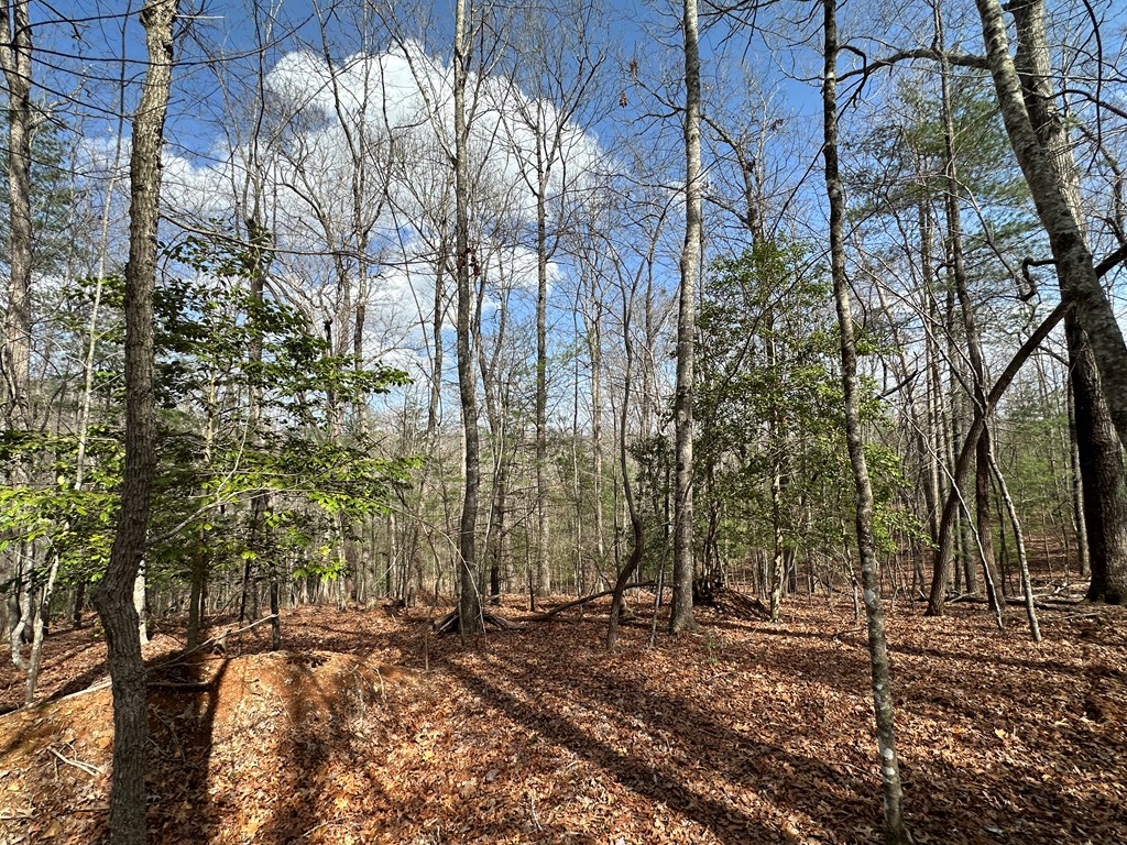 Lot 20 Black Oak Road