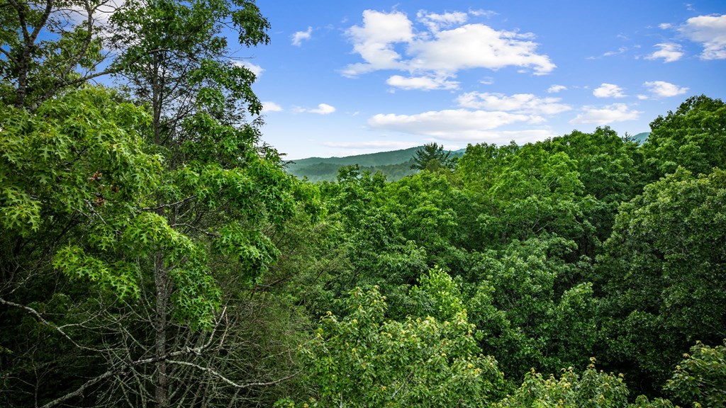 453 Settlers Ridge Road