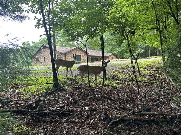 LT #222 Mohawk Trail