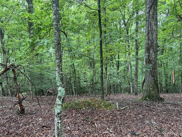 LT #222 Mohawk Trail