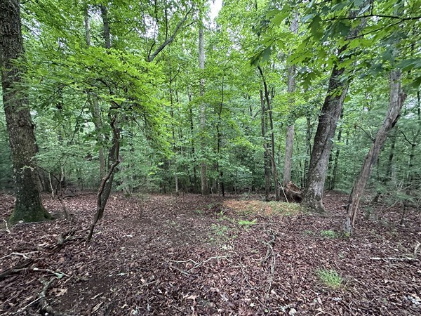 LT #222 Mohawk Trail