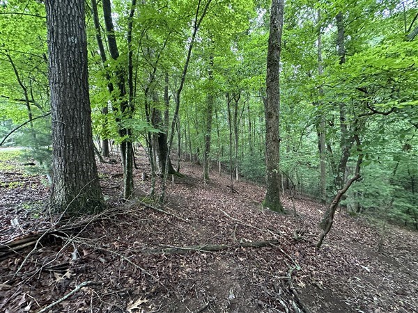 LT #222 Mohawk Trail