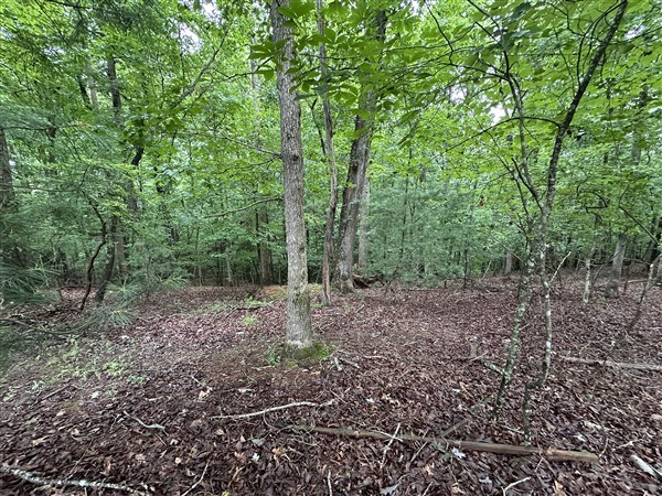 LT #222 Mohawk Trail