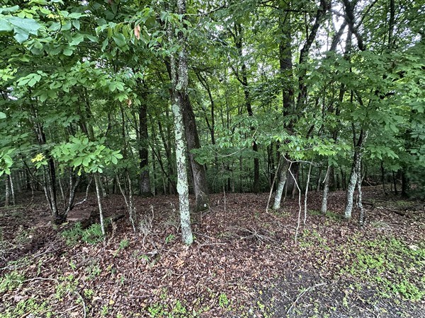 LT #222 Mohawk Trail