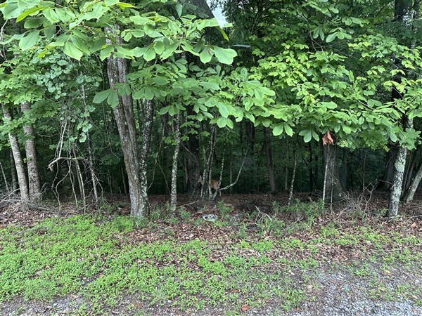 LT #222 Mohawk Trail