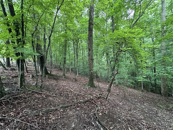 LT #222 Mohawk Trail