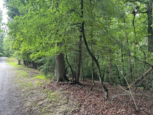 LT #222 Mohawk Trail