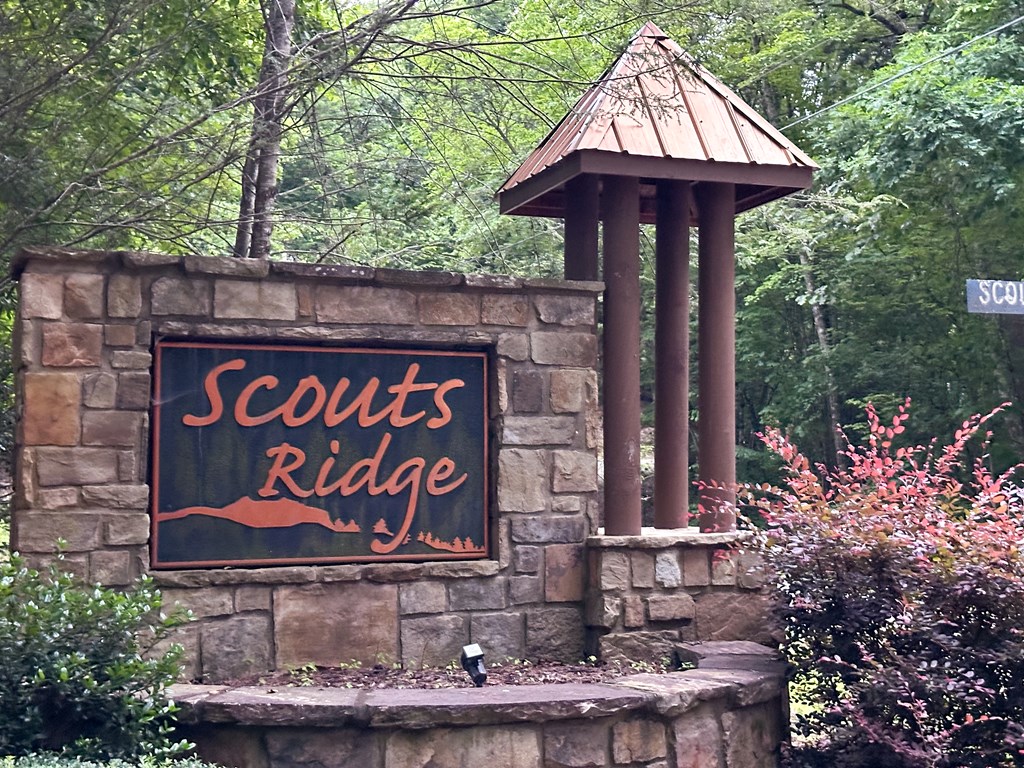 Lt 23 Scouts Ridge Road