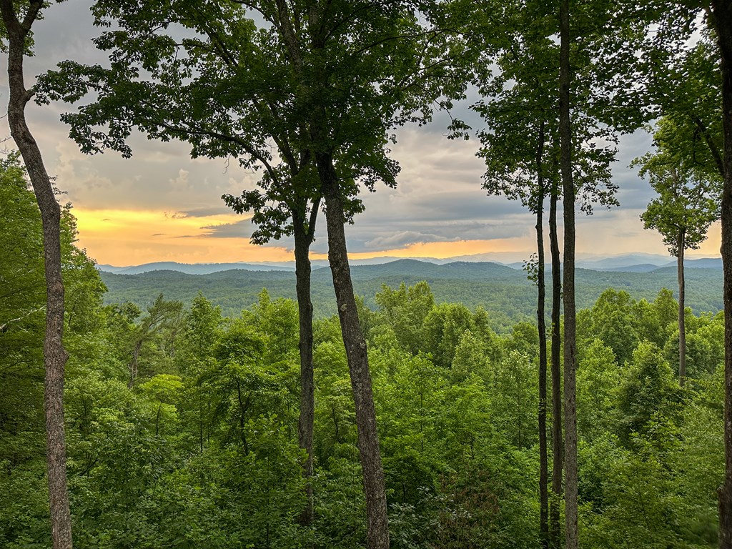 Lt 23 Scouts Ridge Road
