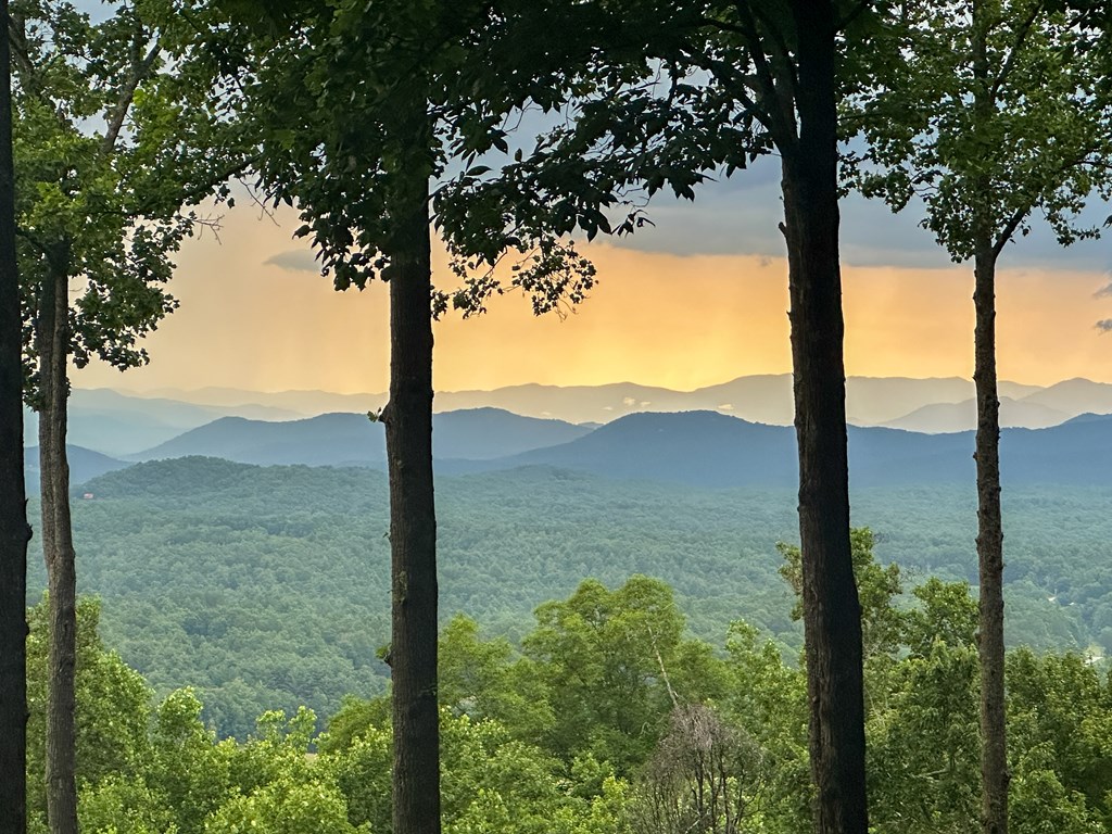 Lt 23 Scouts Ridge Road