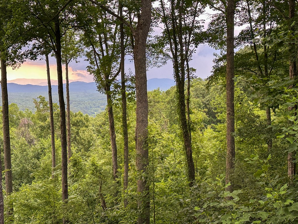 Lt 23 Scouts Ridge Road