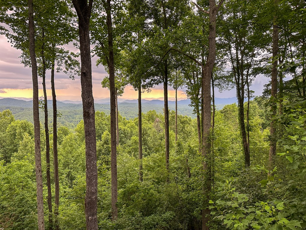 Lt 23 Scouts Ridge Road