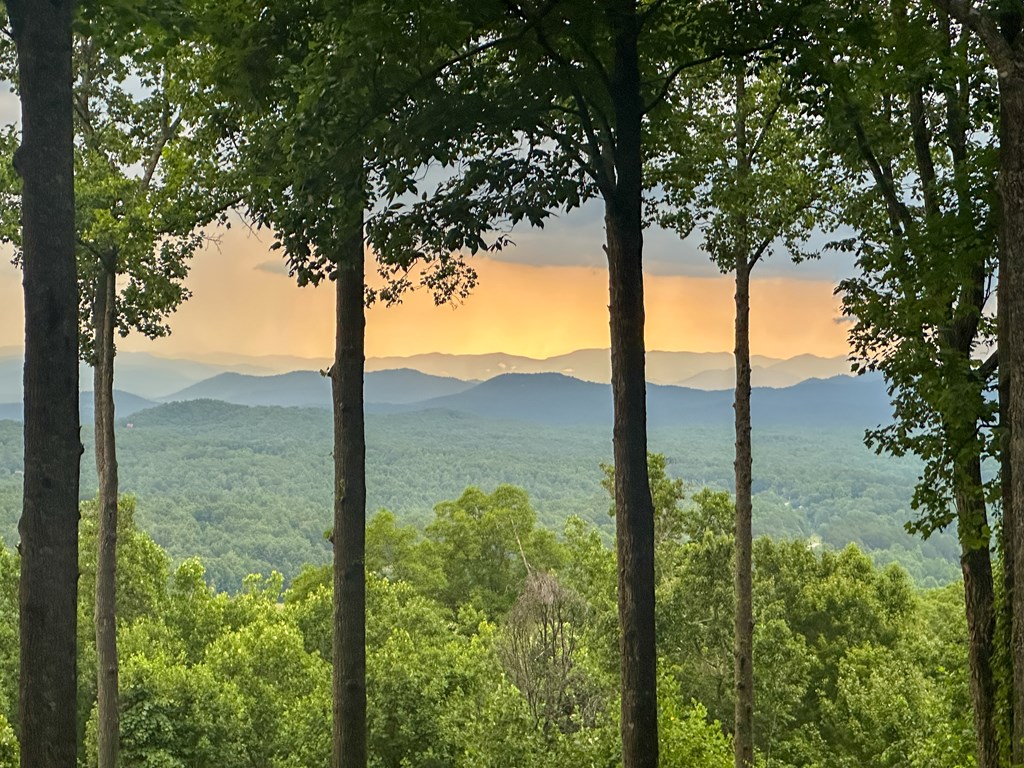 Lt 23 Scouts Ridge Road