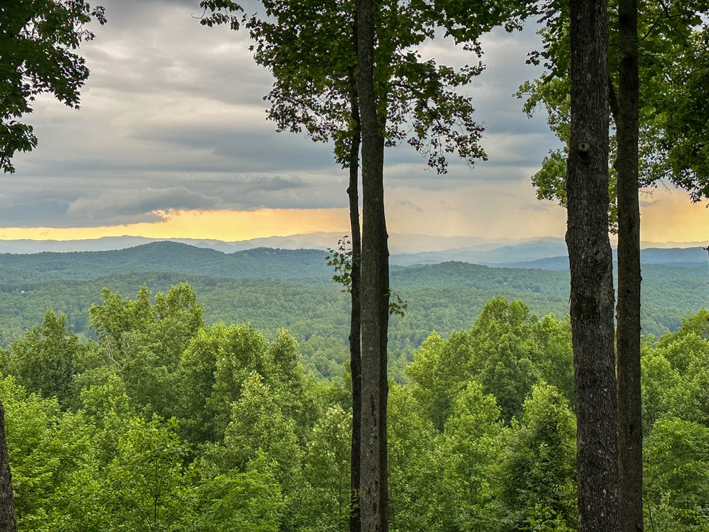 Lt 23 Scouts Ridge Road