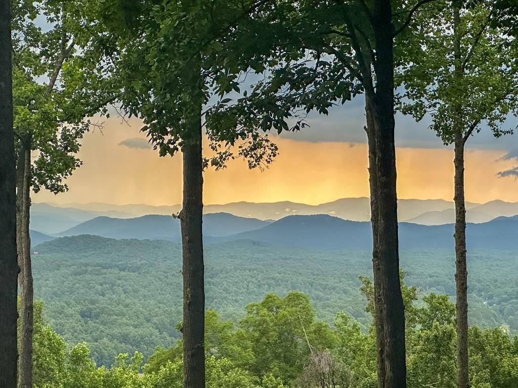 Lt 23 Scouts Ridge Road