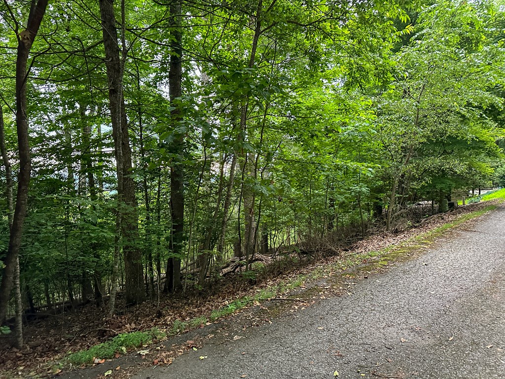 Lt 23 Scouts Ridge Road