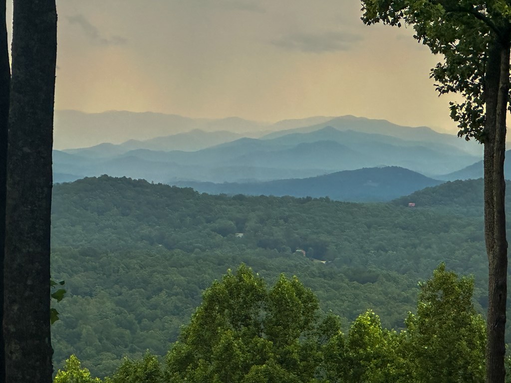 Lt 23 Scouts Ridge Road