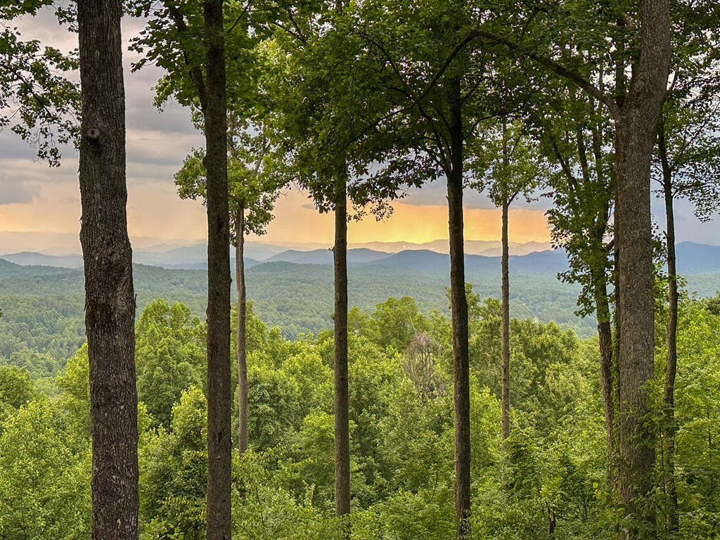 Lt 23 Scouts Ridge Road
