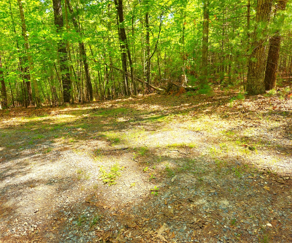5.23acs Burgess Gap Road