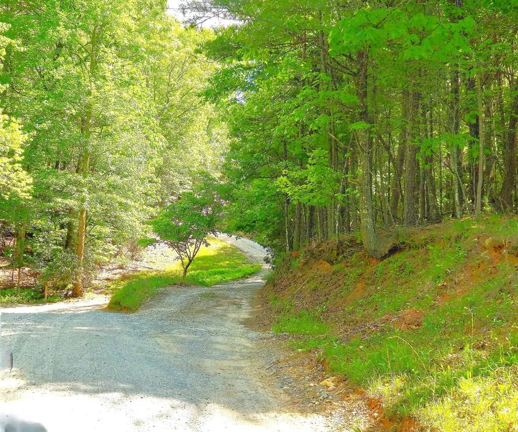 5.23acs Burgess Gap Road