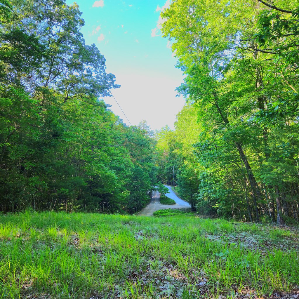 5.23acs Burgess Gap Road