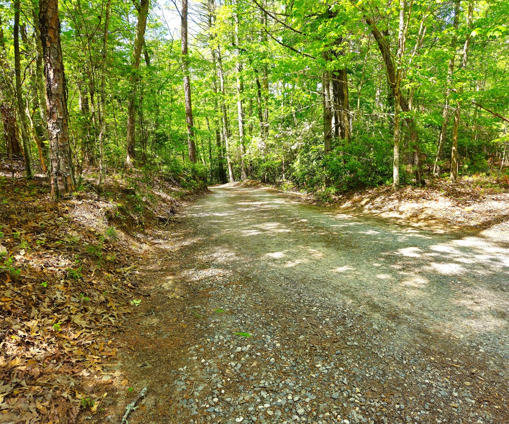 5.23acs Burgess Gap Road